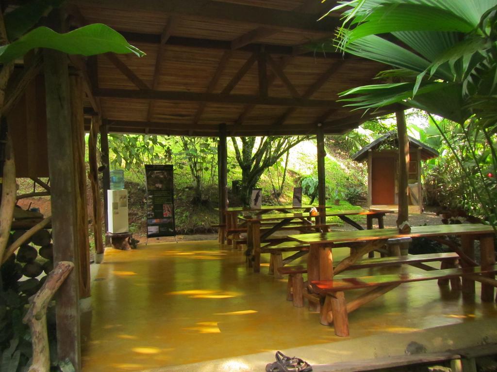 El Chontal Hotel Rincon Exterior photo